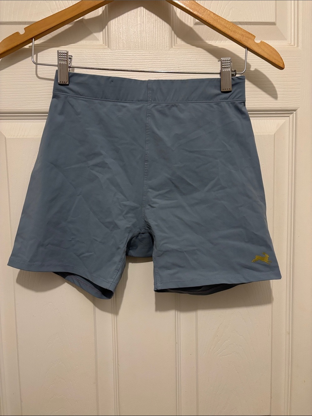 Tracksmith shorts